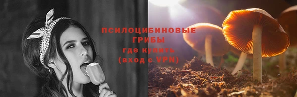 2c-b Протвино